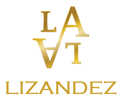 Lizandez Logo